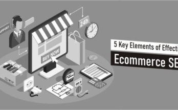 ecommerce seo