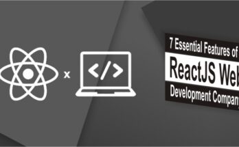 reactjs web development